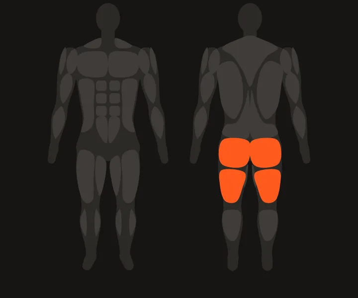 Mappa muscolare: glutei, femorali