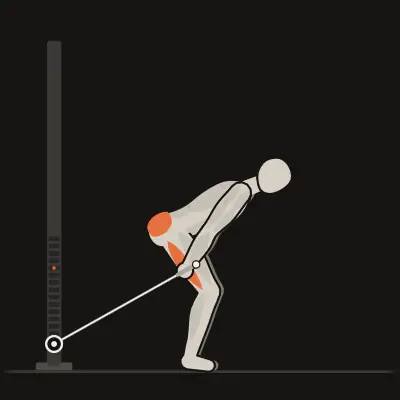 Animazione: Pull-through ai cavi