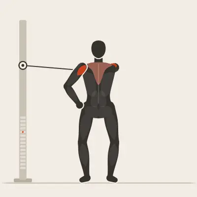Animation: Reverse Fly einarmig