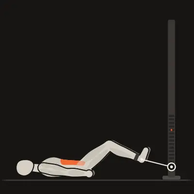 Animation: Cable Reverse Crunch