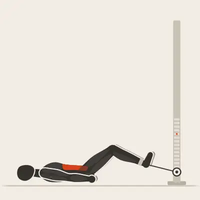 Animation: Cable Reverse Crunch