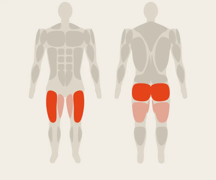 Muscle map: quads, glutes