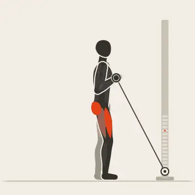 Animation: Cable Reverse Lunge