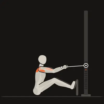 Animation: Seated Rope High Row