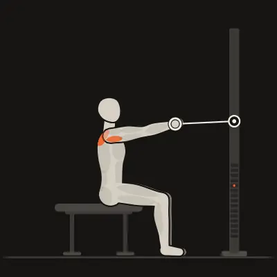 Animation: Face Pull sitzend