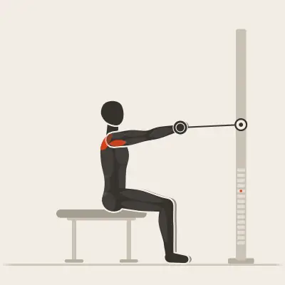 Animação: Face pull sentado