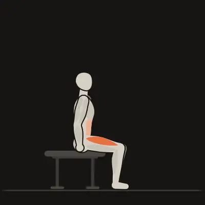 Animation: Seated Knee Raise