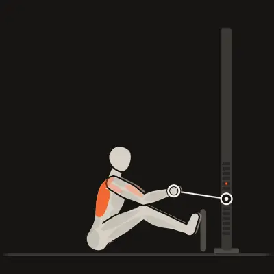 Animation: Seated Cable Row