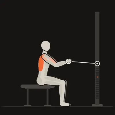 Animation: Bench-Seated Cable Row