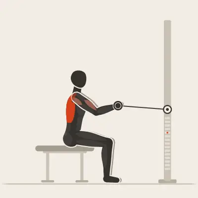 Animation: Bench-Seated Cable Row