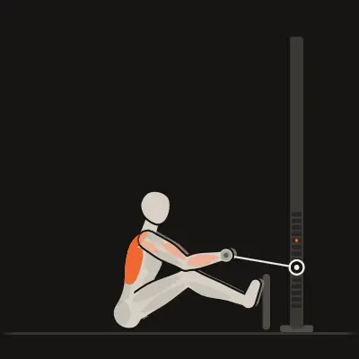 Animation: One-Cable Seated Row