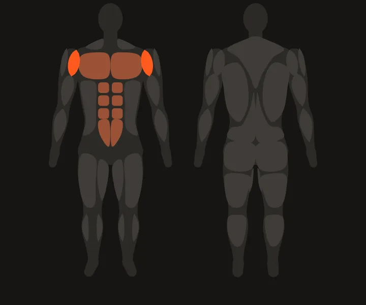 Mapa muscular: deltoides anterior