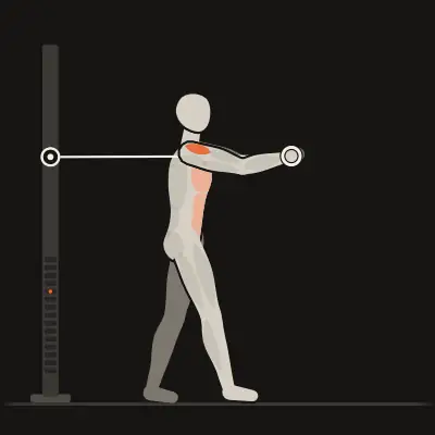 Animación: Protracción escapular en polea