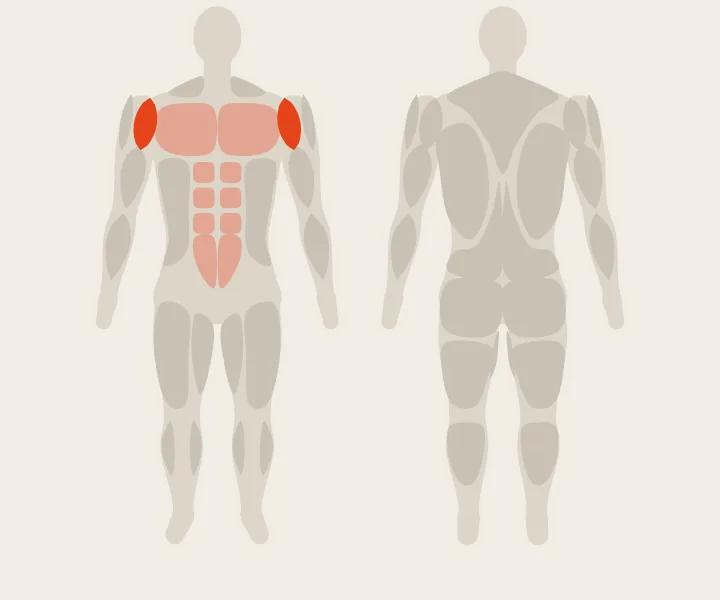 Mapa muscular: deltoides anterior