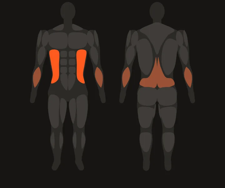 Muscle map: obliques
