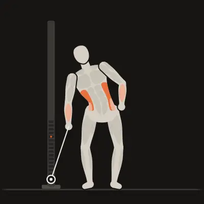 Animation: Cable Side Bend