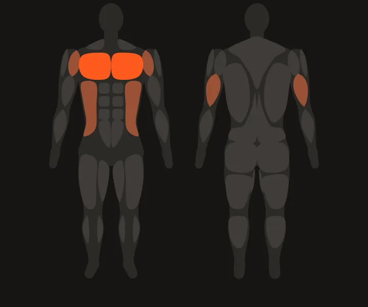Muscle map: chest
