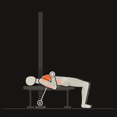 Animation: Single-Arm Cable Bench Press