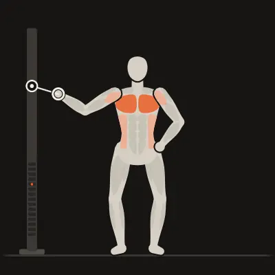 Animation: Single-Arm Cable Fly