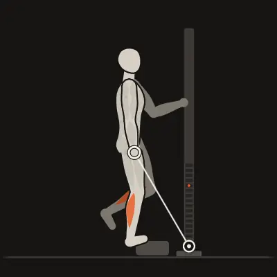 Animation: Single-Leg Calf Raise