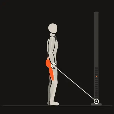 Animation: Single-Leg Romanian Deadlift
