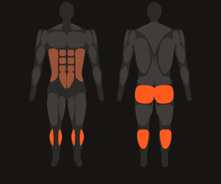 Muscle map: glutes, calves