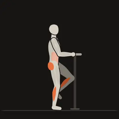 Animation: Single-Leg Stand