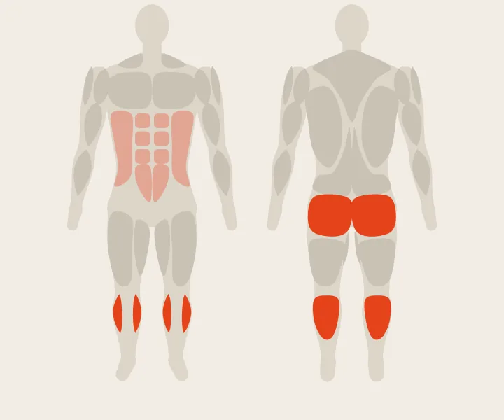 Muscle map: glutes, calves