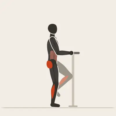 Animation: Single-Leg Stand