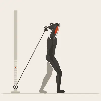 Animation: Single-Arm Overhead Triceps Extension