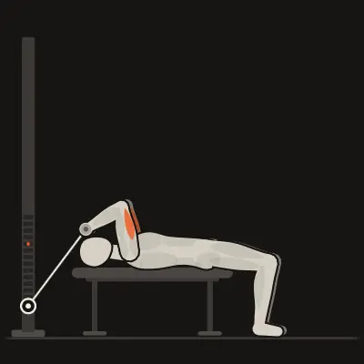 Animation: Cable Skull Crusher