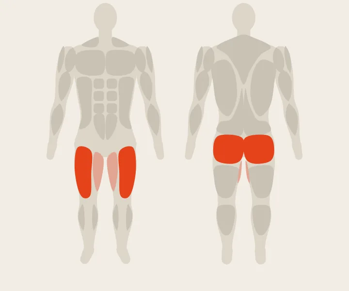Mappa muscolare: quadricipiti, glutei