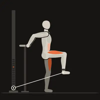 Animation: Standing Leg Extension
