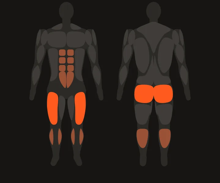 Muscle map: glutes, quads