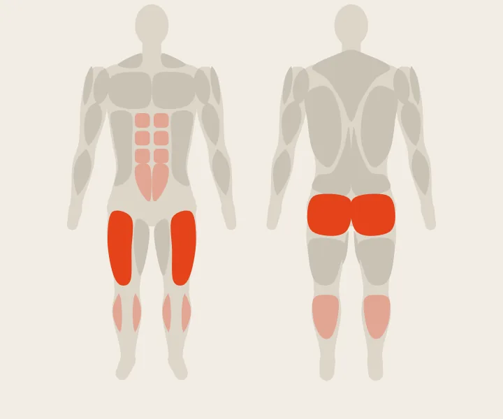 Muscle map: glutes, quads