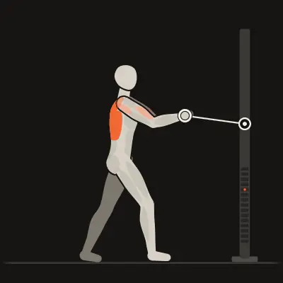 Animation: Split-Stance Cable Row