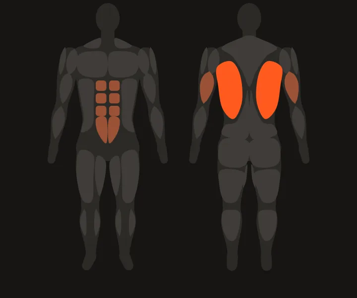 Mapa muscular: dorsales