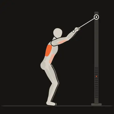 Animation: Straight-Arm Pulldown