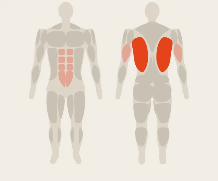 Muscle map: lats