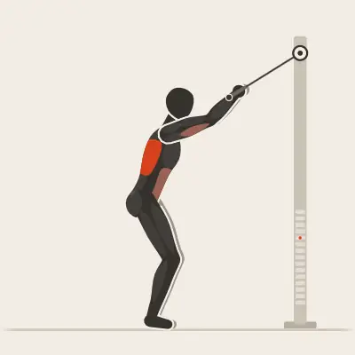 Animation: Straight-Arm Pulldown