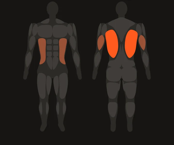 Muscle map: lats