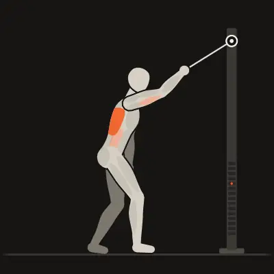 Animation: Single-Arm Straight-Arm Pulldown