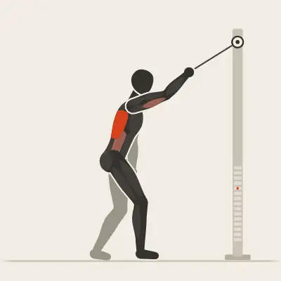 Animation: Single-Arm Straight-Arm Pulldown