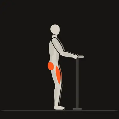 Animation : Squat avec appui