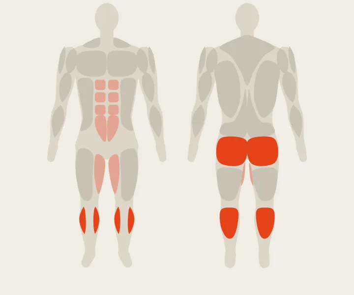 Muscle map: calves, glutes