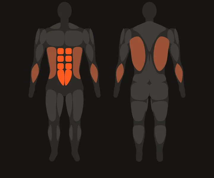 Mapa muscular: abdominales