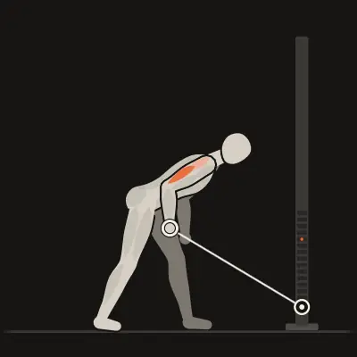 Animation: Cable Triceps Kickback