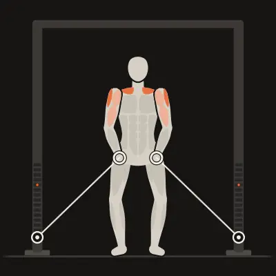Animation: Cable Upright Row