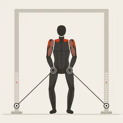 Animation: Cable Upright Row
