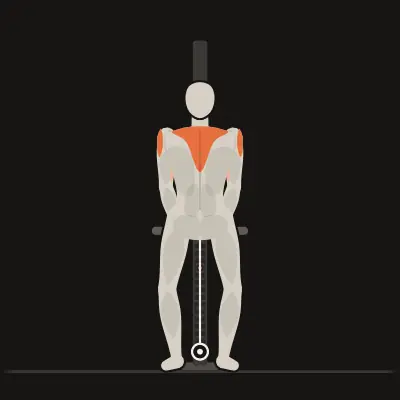 Animation: One-Cable Upright Row